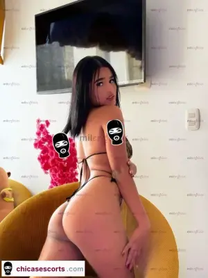 Stefy Tu Chica Preferida Morenita Pelicorto, Escorts en Bogotá, Colombia — 19 años