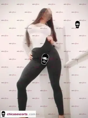 Soy Majo Una Perrita Morbosa.. Rico Anal.. Quieres Probarme ??? Escribeme ...., Escorts en Bogotá — 40 años