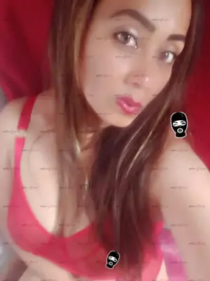 No Me Importa El TamañO De Tu Miembro. Solo Me Importa Que Lo Metas En Mi Boca, Escorts en Guadalajara, México — 18 años