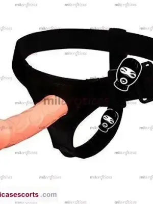 Vibradores A Control Remoto LenceríA Servicio A Domicilio, Escorts en Aguascalientes — 18 años