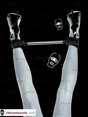 Vibradores A Control Remoto LenceríA Servicio A Domicilio, Escorts en Aguascalientes — 18 años