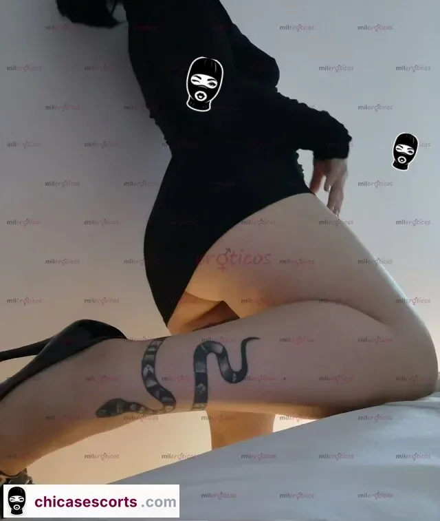 Foto de Ven Y Conoce A Rox Cast, Excelente PresentacióN — imagen 5