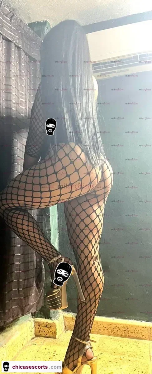 Foto de Zona Chuburna Promo 800 X 30 Min Cindy Morenaza De Fuego Sabrosa, Escorts en Mérida, México