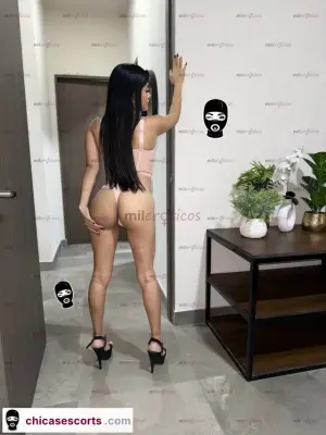 Estas Buscando Una Chica Pervertida Esa Soy Yo Contactame, Escorts en Guadalajara, México — 25 años