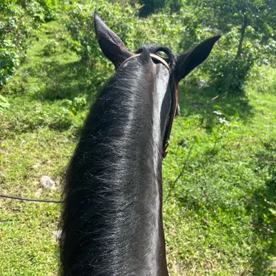 Chantal, Encuentros en Santo Domingo — 25 años