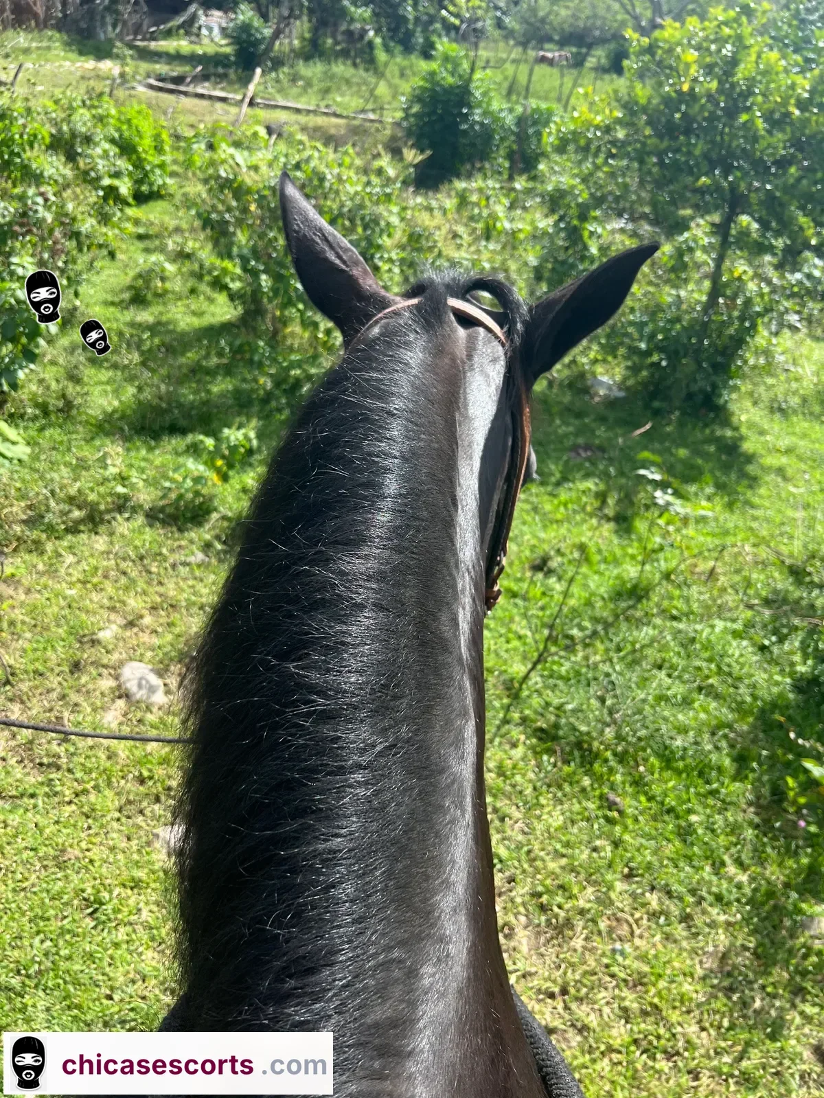 Foto de Chantal — imagen 8